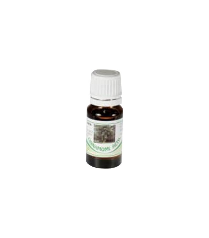 ETERIČNO ULJE LAVANDE 10 ML PHARMAMED