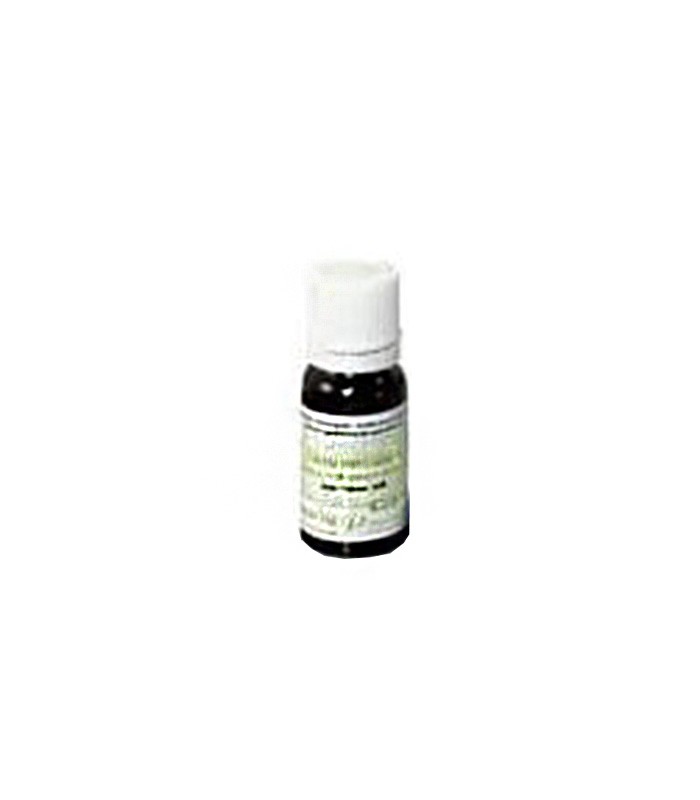 ETERIČNO ULJE RUŽMARIN 10 ML PHARMAMED